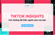Khám phá TikTok Insights và khả năng hiểu biết sâu sắc về khán giả của bạn